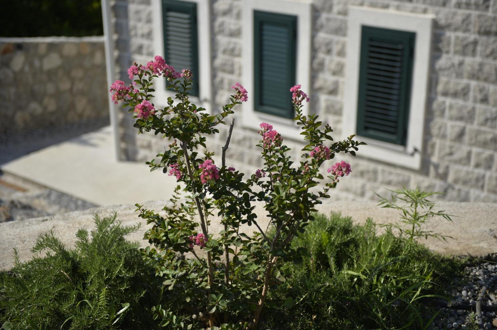 Villa Vista Azzurra ติวัต ภายนอก รูปภาพ